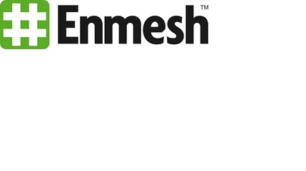 Enmesh logo