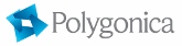 Polygonica SpaceClaim partner